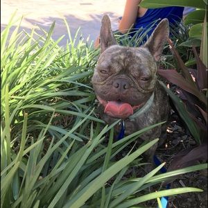 Meet your Posher, Belle